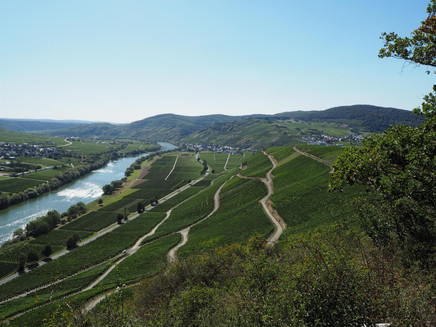 View of Kesten and Osann-Monzel